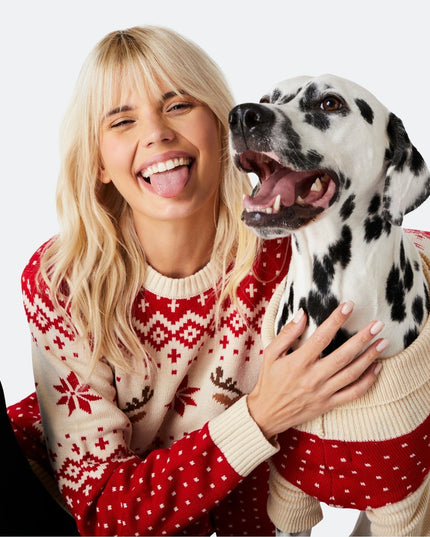 Pull de Noël rétro rouge à motif de rennes pour chiens