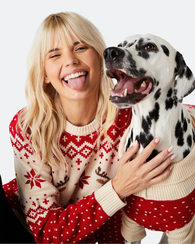 Pull de Noël rétro rouge à motif de rennes pour chiens