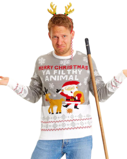 Joyeux Noël, sale bête, pull gris