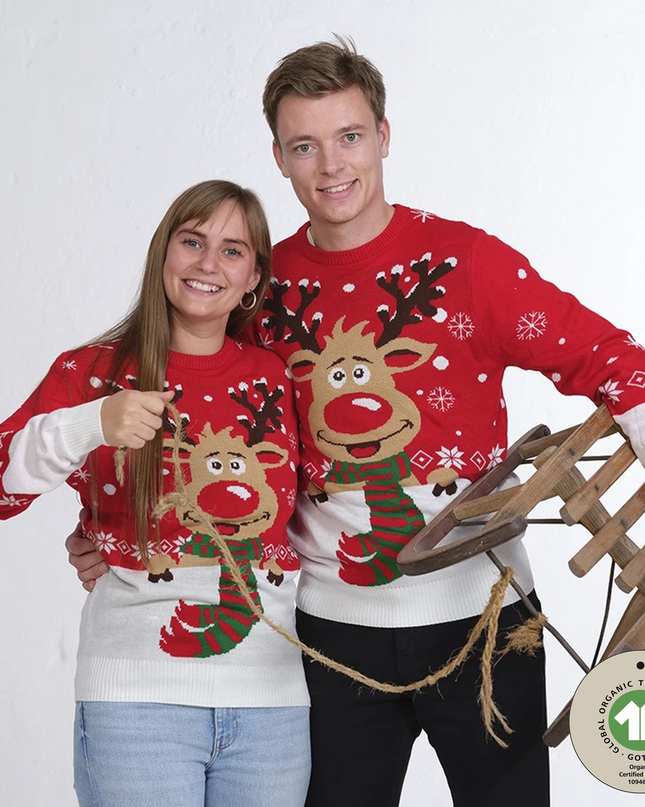 Rudolph avec son pull de Noël à écharpe