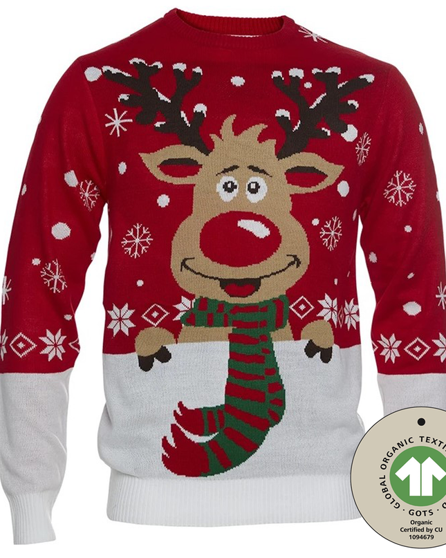 Rudolph avec son pull de Noël à écharpe