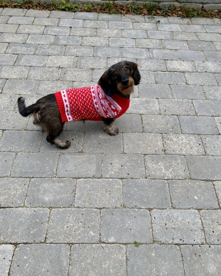 Pull de Noël nordique pour chien rouge