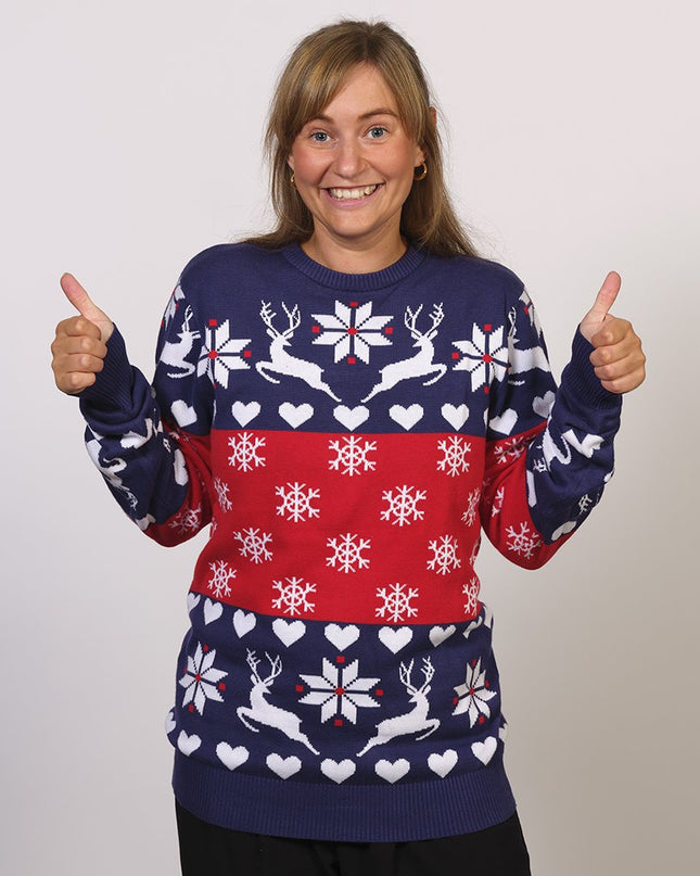 Pull de Noël exclusif - Vêtements de fêtes unisexes