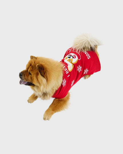 Pull de Noël Père Noël pour animaux de compagnie