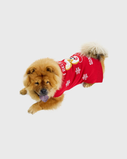 Pull de Noël Père Noël pour animaux de compagnie