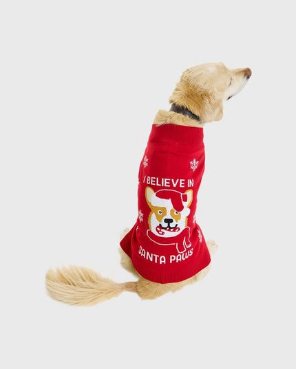 Pull de Noël Père Noël pour animaux de compagnie