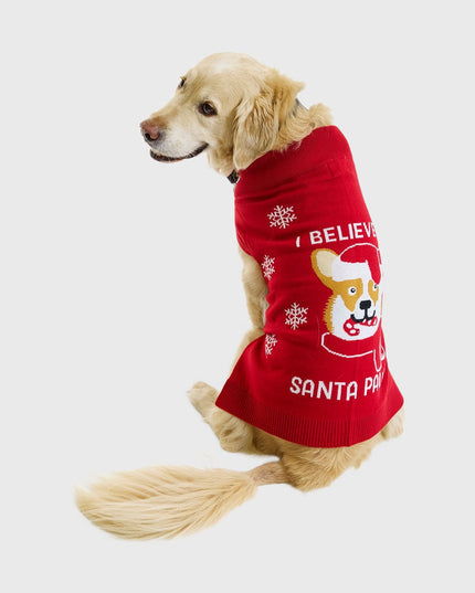 Pull de Noël Père Noël pour animaux de compagnie