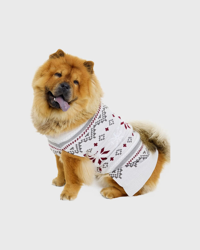 Pull de Noël fantaisie pour animaux de compagnie