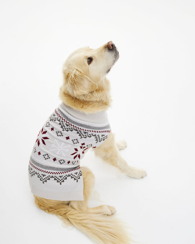 Pull de Noël fantaisie pour animaux de compagnie