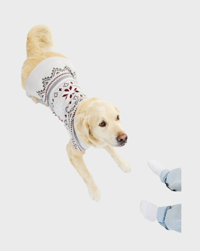 Pull de Noël fantaisie pour animaux de compagnie