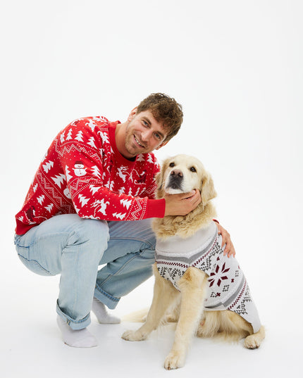 Pull de Noël fantaisie pour animaux de compagnie