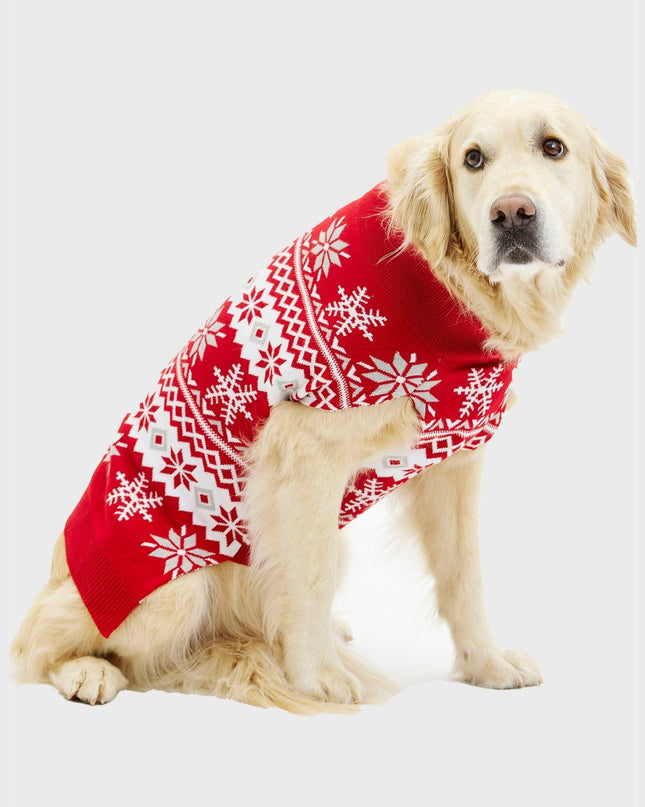 Pull de Noël pour chien mignon