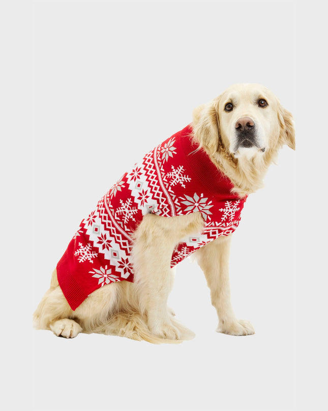 Pull de Noël pour chien mignon