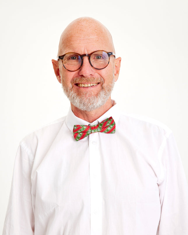 Nœud papillon sapin de Noël pour homme