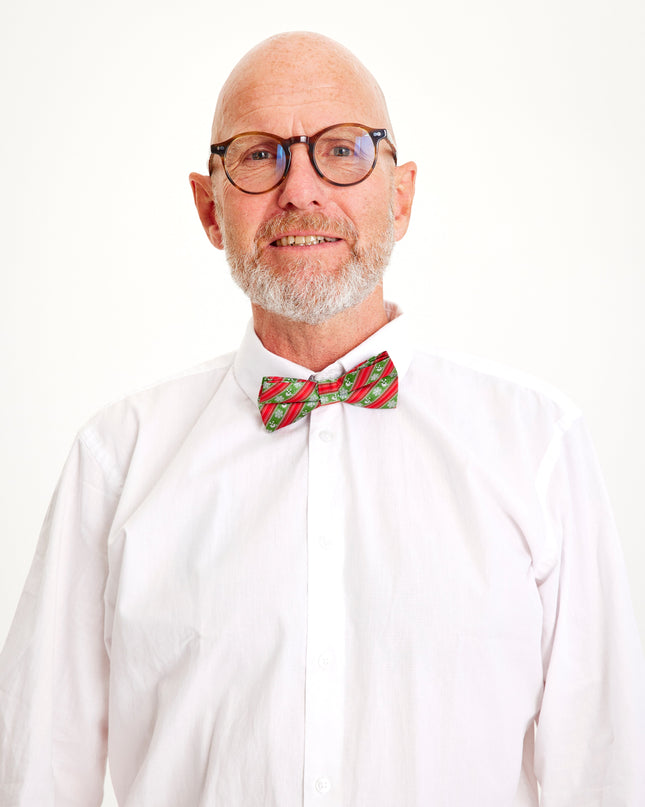 Nœud papillon sapin de Noël pour homme