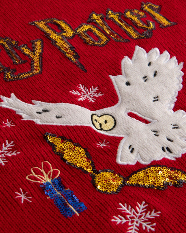 Pull de Noël Harry Potter pour enfants