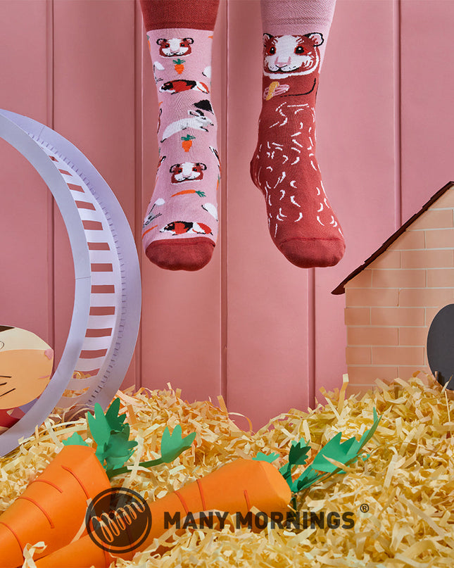 Many Mornings Zokni - Chaussettes amusantes Miss Cochon d'Inde pour tous