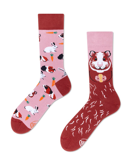 Many Mornings Zokni - Chaussettes amusantes Miss Cochon d'Inde pour tous