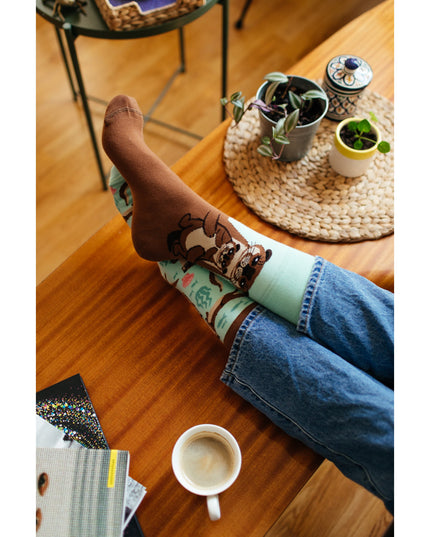 De nombreux matins Zokni - Histoires de loutres Chaussettes amusantes pour tous les âges