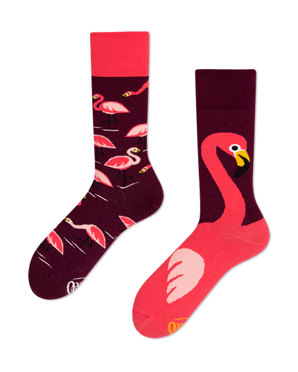 Collection de chaussettes amusantes Zokni - Flamant rose