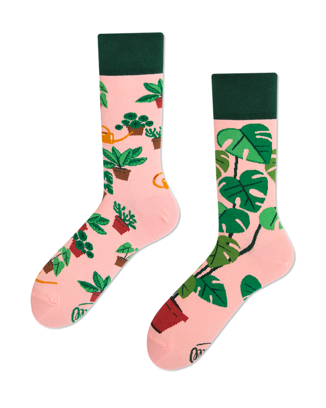 Many Mornings Zokni - Chaussettes amusantes pour les amoureux des plantes, pour tous les âges