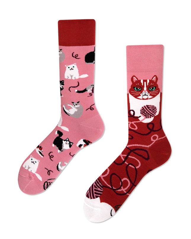 Collection de chaussettes amusantes Many Mornings Zokni - Chat joueur