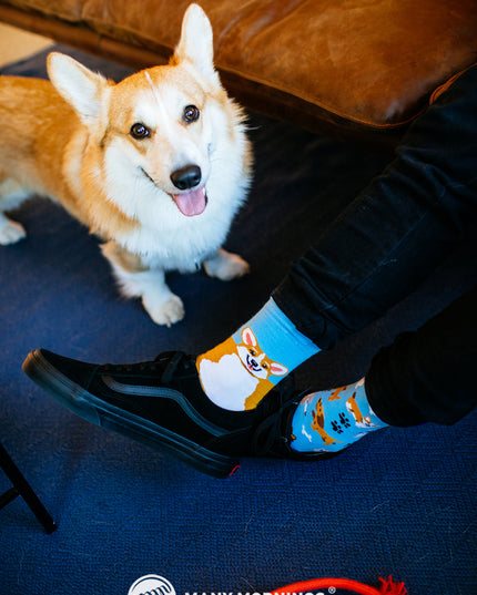 Collection de chaussettes amusantes pour chiens Many Mornings Zokni - Joueurs