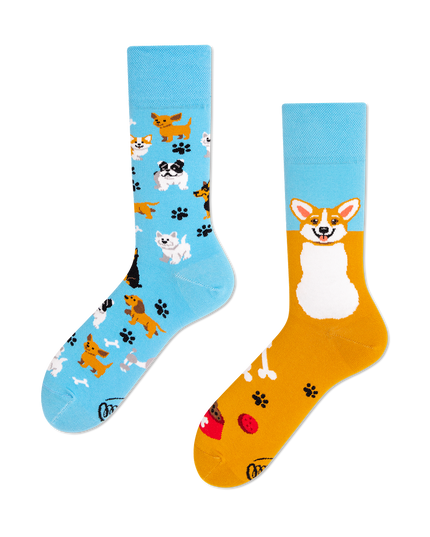Collection de chaussettes amusantes pour chiens Many Mornings Zokni - Joueurs