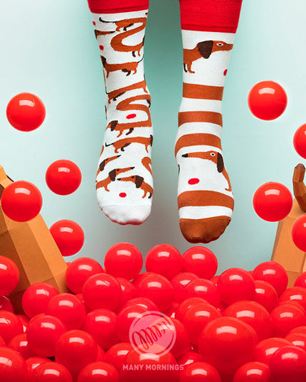 Collection de chaussettes amusantes Zokni - Chien teckel