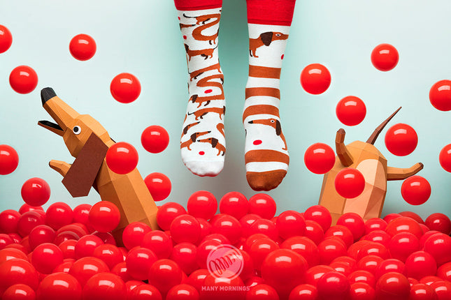 Collection de chaussettes amusantes Zokni - Chien teckel