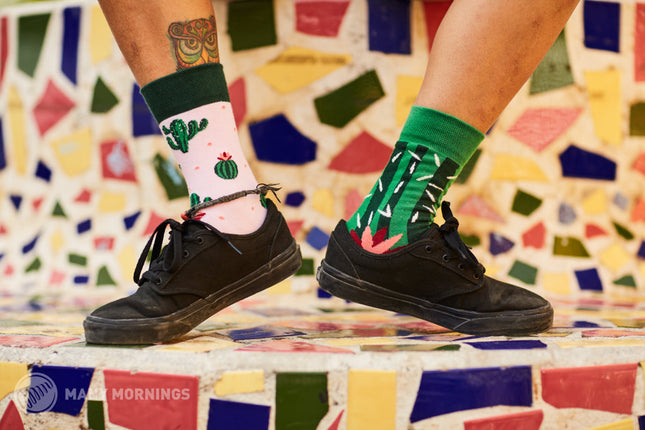 Many Mornings Zokni - Chaussettes d'été amusantes avec des cactus pour tous