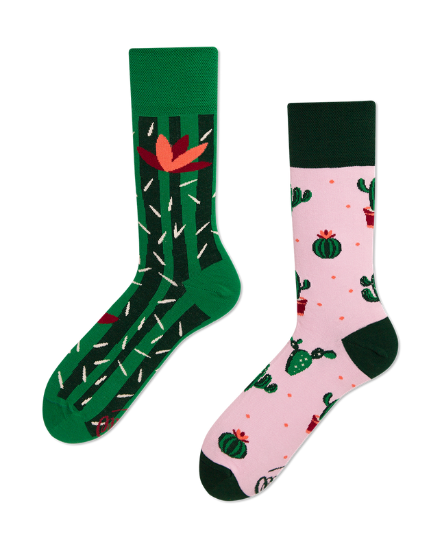 Many Mornings Zokni - Chaussettes d'été amusantes avec des cactus pour tous
