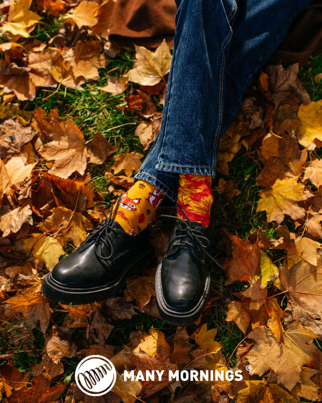 Zokni Many Mornings - Chaussettes amusantes avec les écureuils pour tous