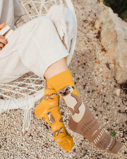 Many Mornings Zokni - Collection de chaussettes de Noël amusantes suricates