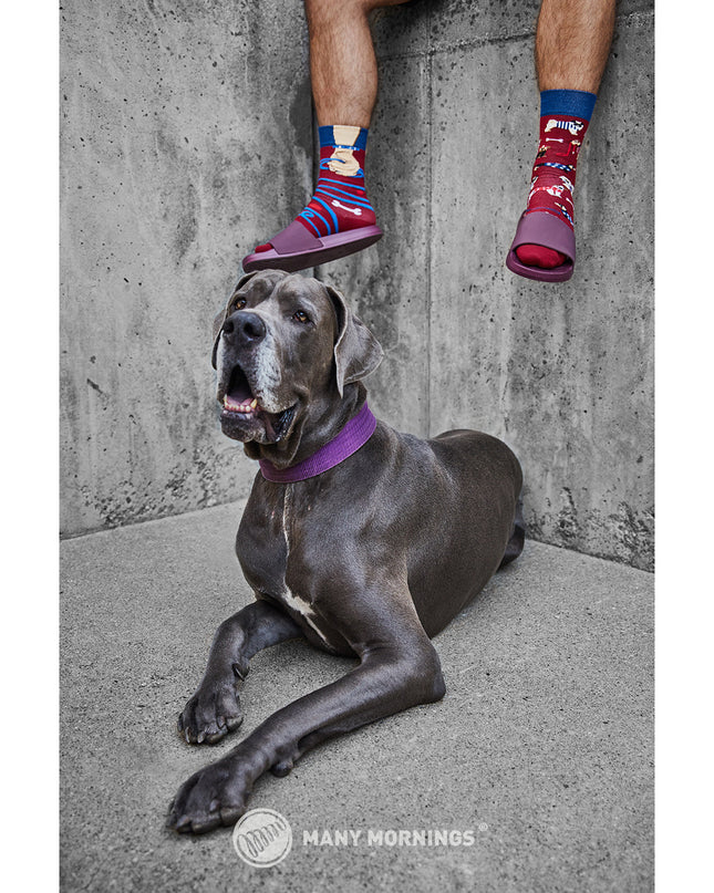 Zokni Many Mornings - Chaussettes amusantes Walkie Doggy pour tous les âges