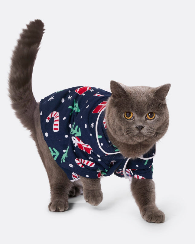 Pyjamas familiaux à motifs de Noël bleus avec des chats | Pyjamas de fêtes amusants