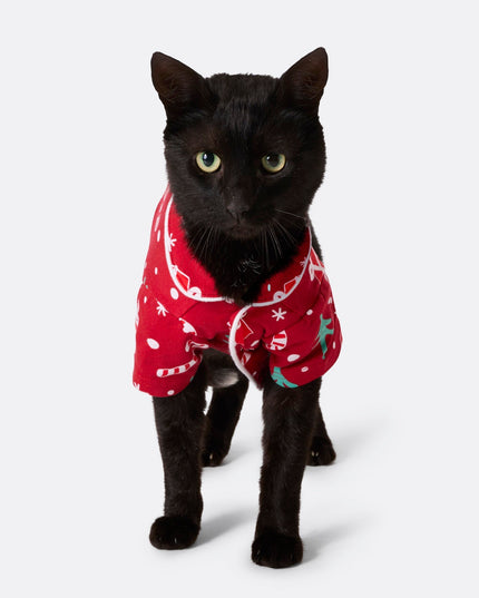 Pyjamas familiaux à motifs de Noël rouges avec chats | Vêtements de nuit amusants pour les fêtes
