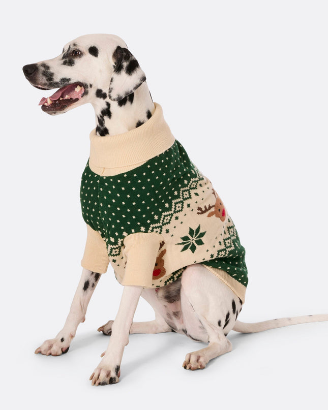Pull rétro vert à motif renne pour chien | Vêtements classiques pour animaux de compagnie pour les fêtes