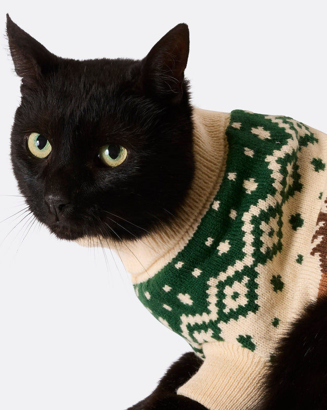 Pull de Noël rétro vert à motif renne pour chats | Vêtements festifs pour toute la famille