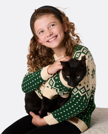 Pull de Noël rétro vert à motif de rennes pour chats