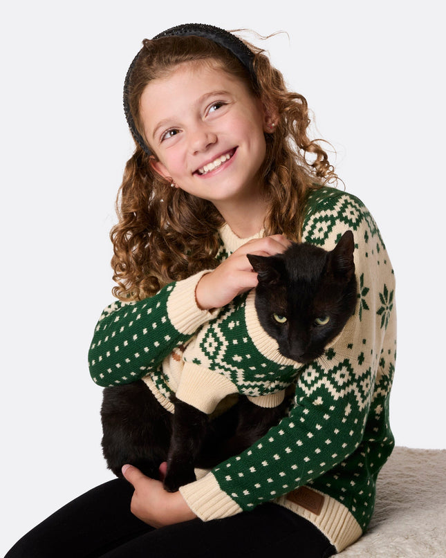 Pull de Noël rétro vert à motif renne pour chats | Vêtements festifs pour toute la famille
