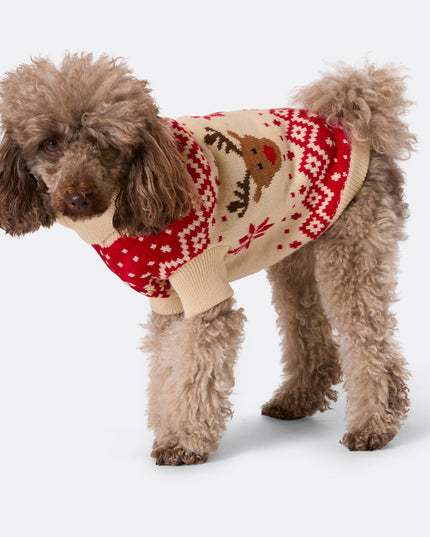 Pull de Noël rétro rouge à motif de rennes pour chiens
