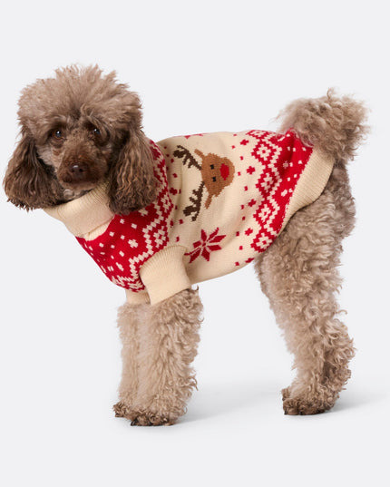 Pull de Noël rétro rouge à motif de rennes pour chiens