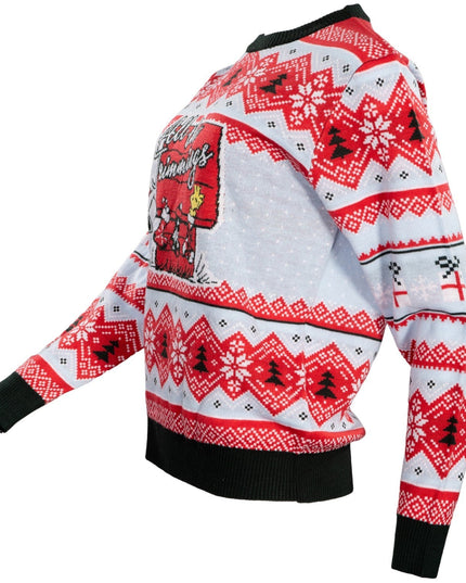 Pull de Noël moche Peanuts House : Tous les ornements