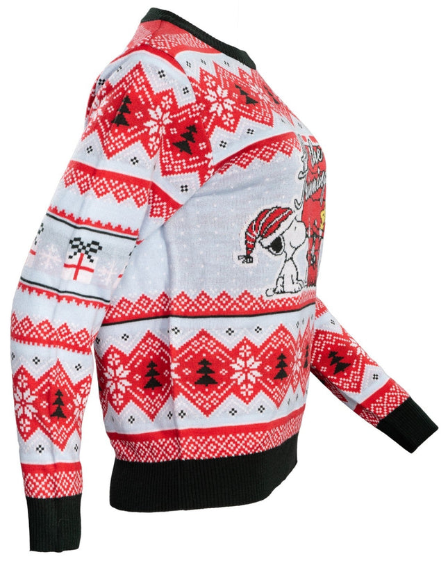 Pull de Noël moche Peanuts House : Tous les ornements
