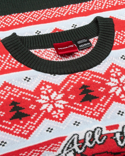 Pull de Noël moche Peanuts House : Tous les ornements