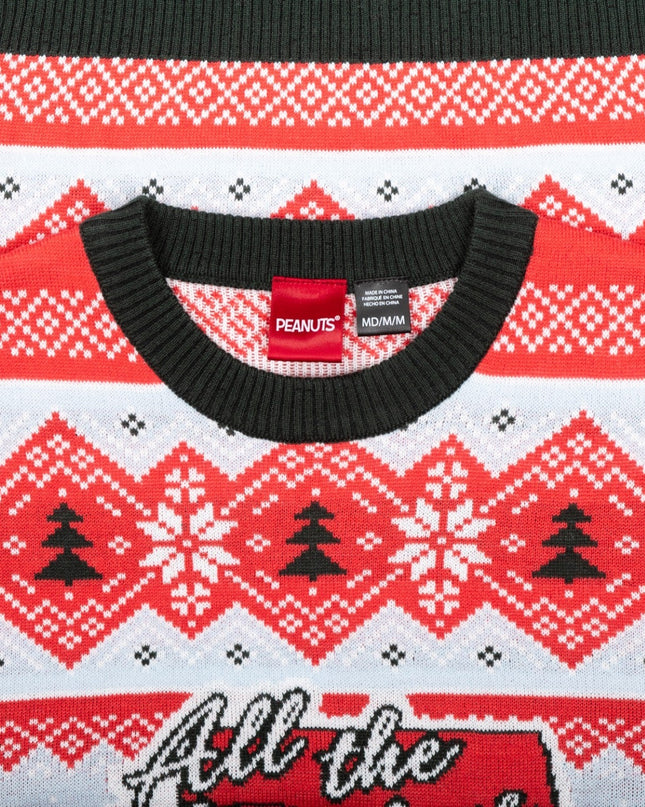 Pull de Noël moche Peanuts House : Tous les ornements
