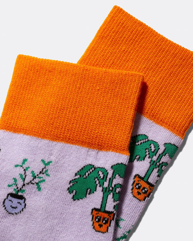 Chaussettes pour plantes