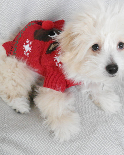 Red 3D Dog Christmas Sweater