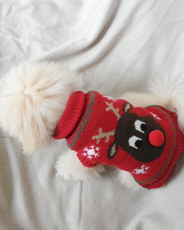 Pull de Noël rouge pour chien en 3D